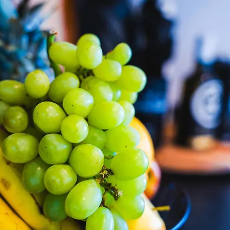 Vip With Panoramic Views Apartament Weitersburg