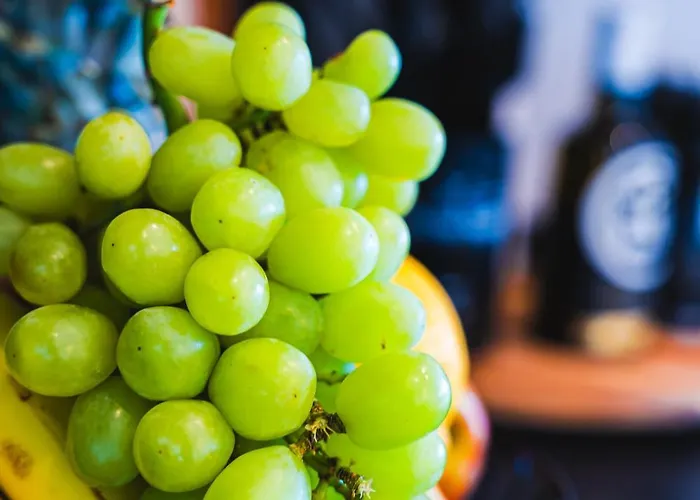 Vip With Panoramic Views 公寓 Weitersburg